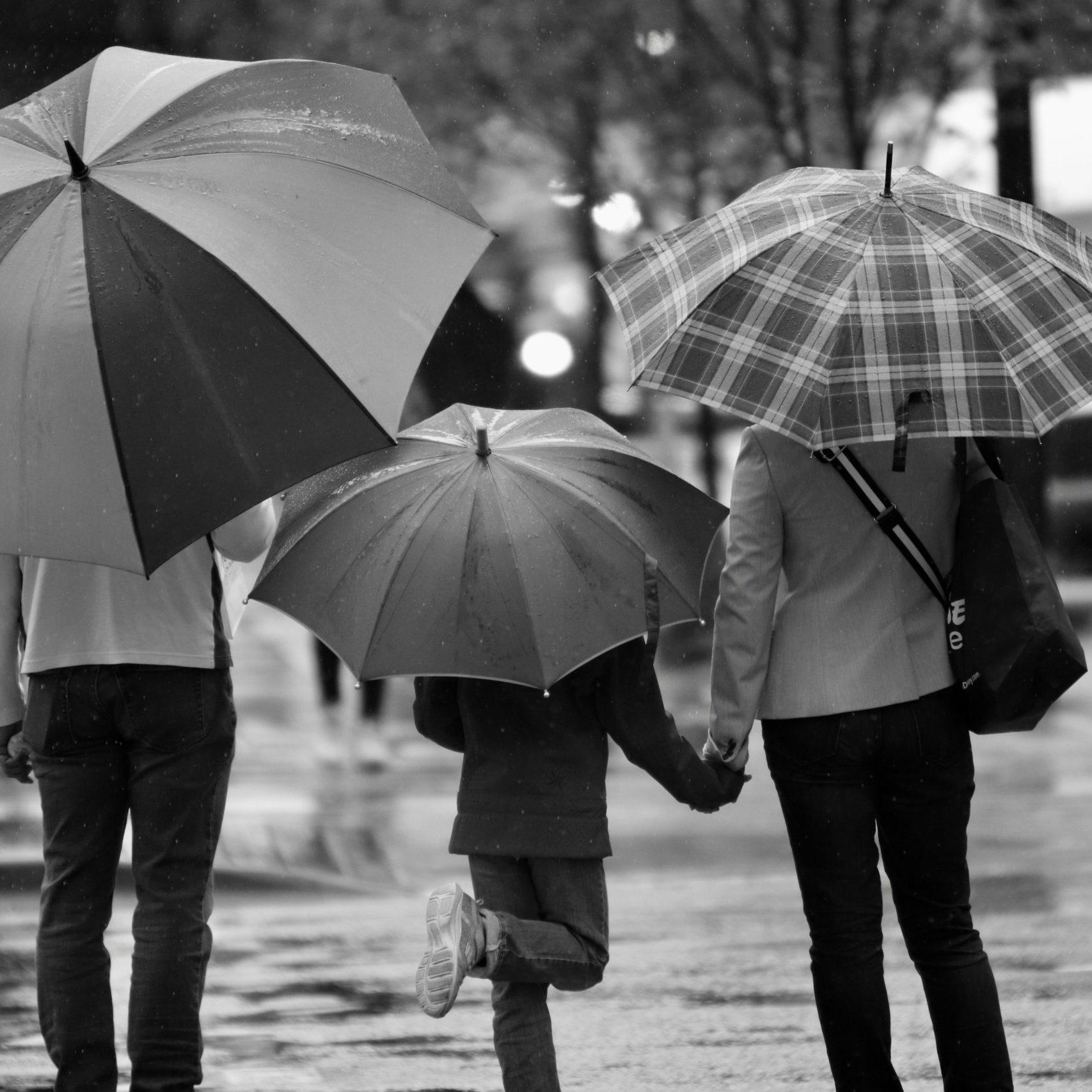 Umbrella Insurance